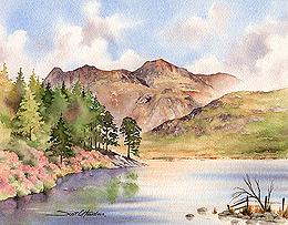 BleaTarnpromo.jpg (18271 bytes)