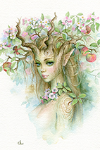Dryad