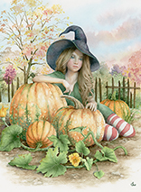Pumpkin Patch