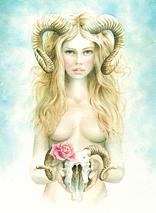 THe Skull and the Rose