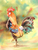 Rooster II