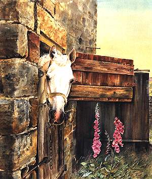 HorseFP.jpg (29986 bytes)